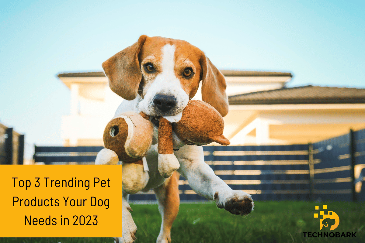 3 Trending Pet Products for 2023 What Your Pet Needs Now! Technobark