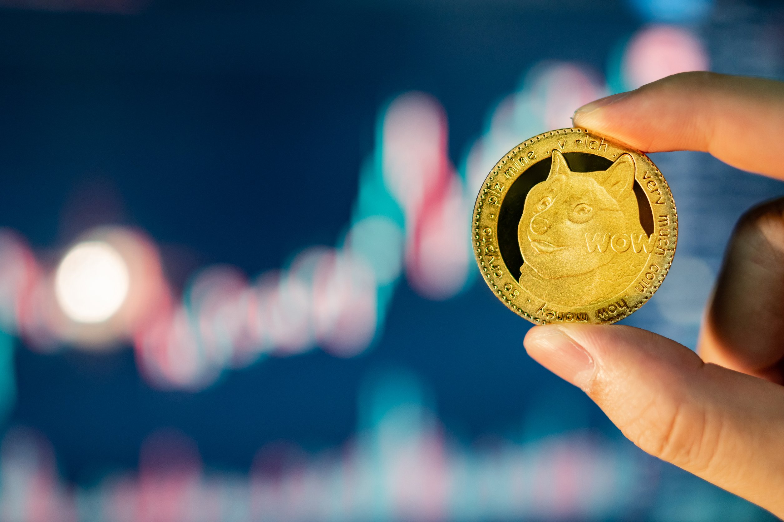 What causes meme coins to have their parabolic runs? TNGlobal