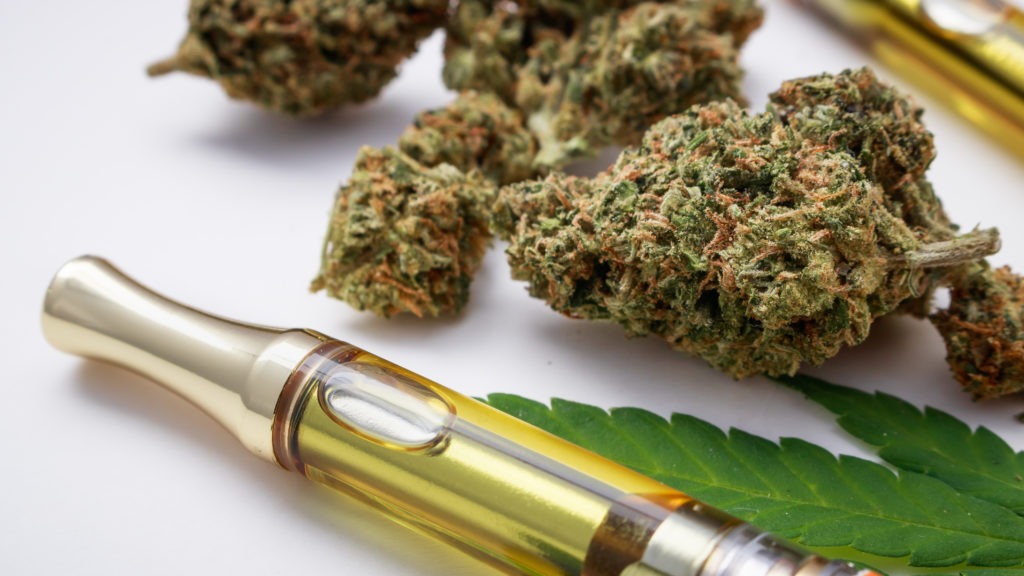 What Is the Difference Between CBD Flower And Oil? Techno FAQ