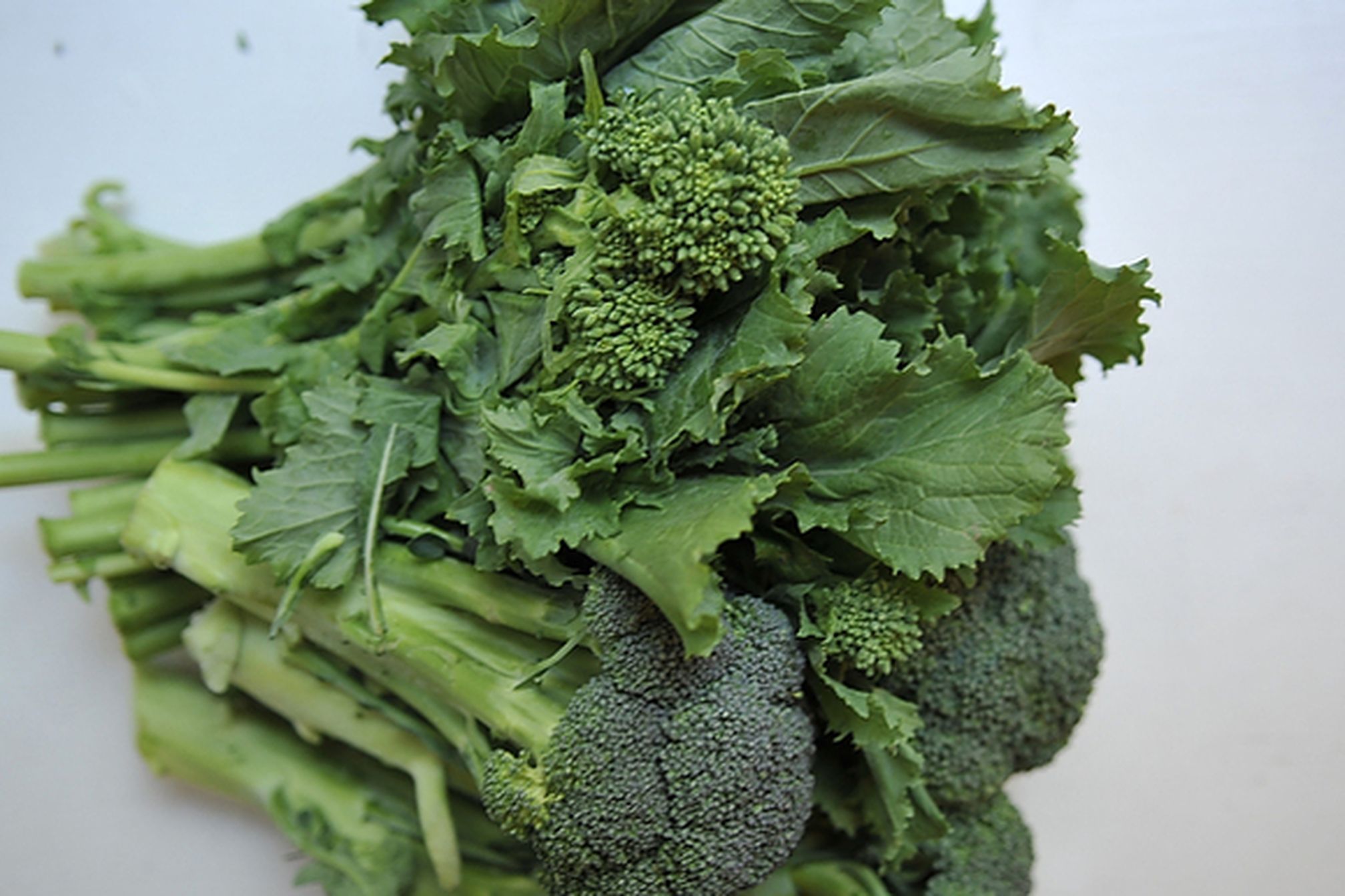 13 Types Of Greens To Nourish Up Your Meals Techno FAQ