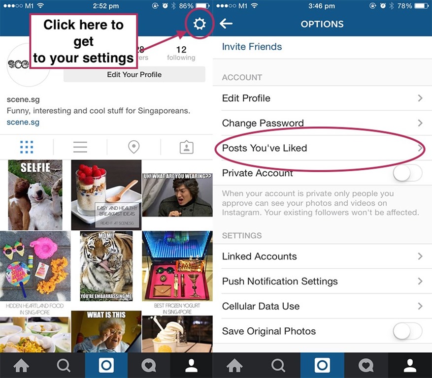 How to Get More Likes on Your Post Technogog