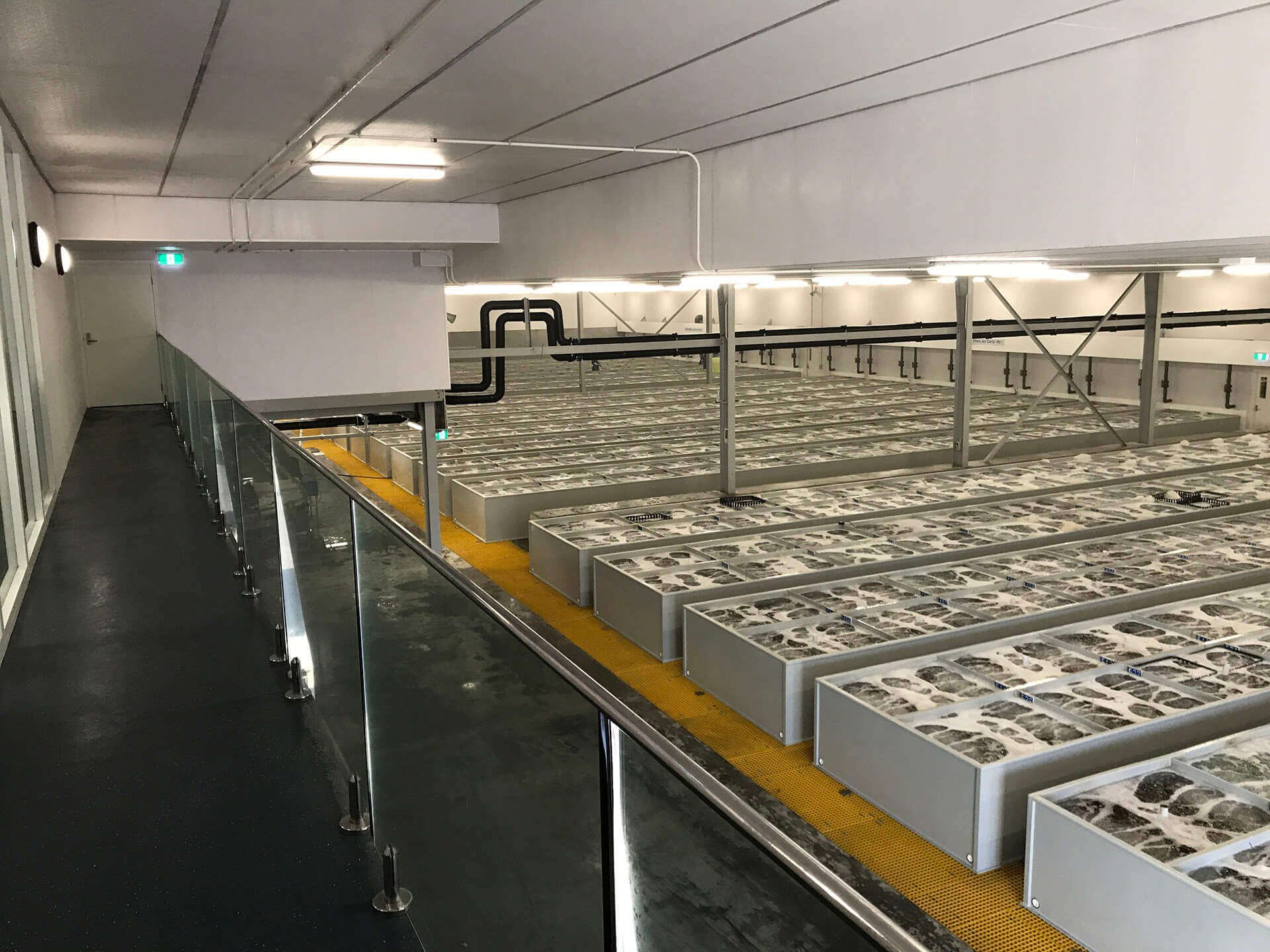 Geraldton Fisherman's CoOp Technolab