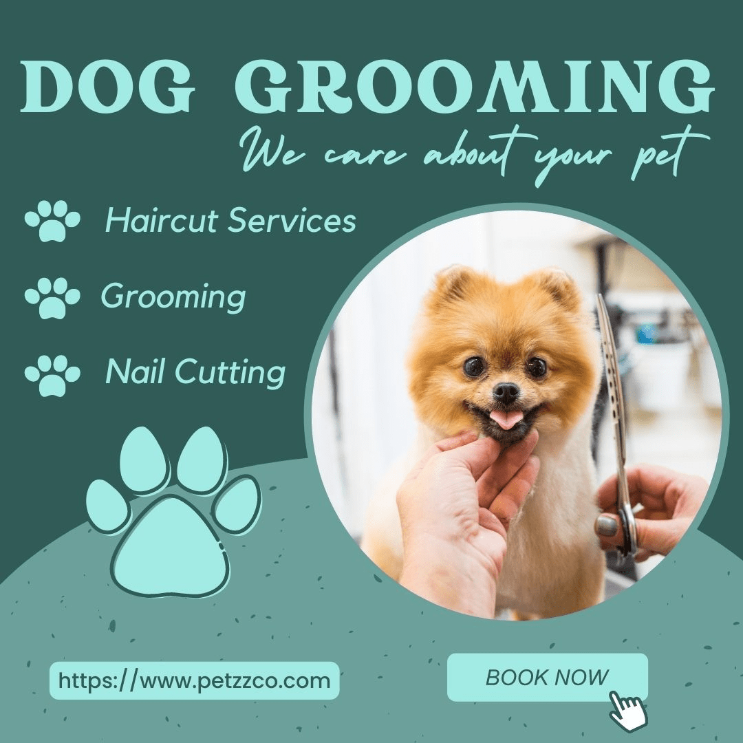 The Best Services Near You in Mumbai's Dog Grooming The Complete Guide