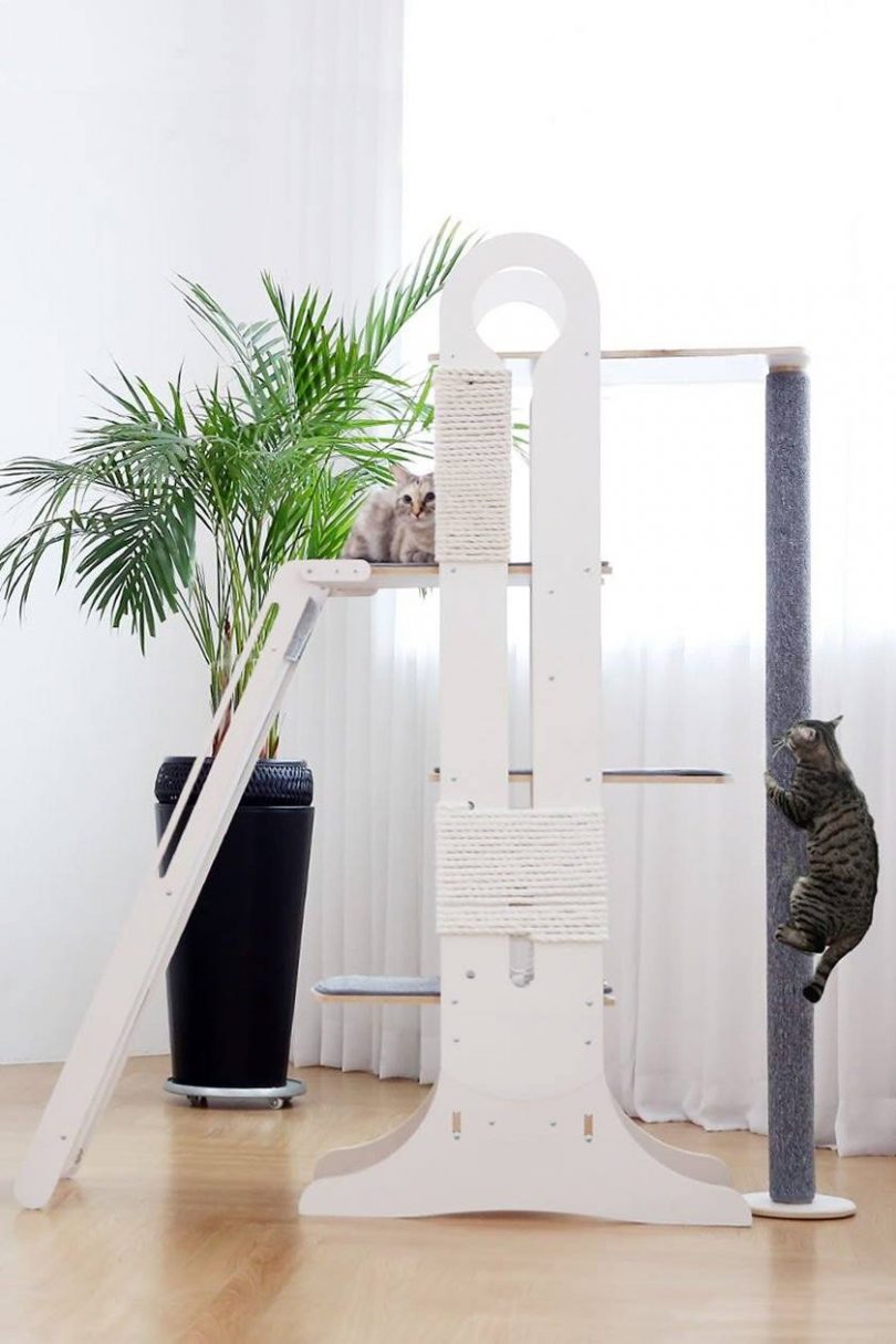 Best Cat Activity Centers To Keep Your Cat Active in 2024 Technomeow