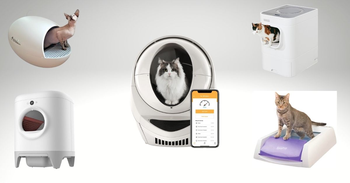 5 Best Automatic SelfCleaning Litter Boxes for Cats