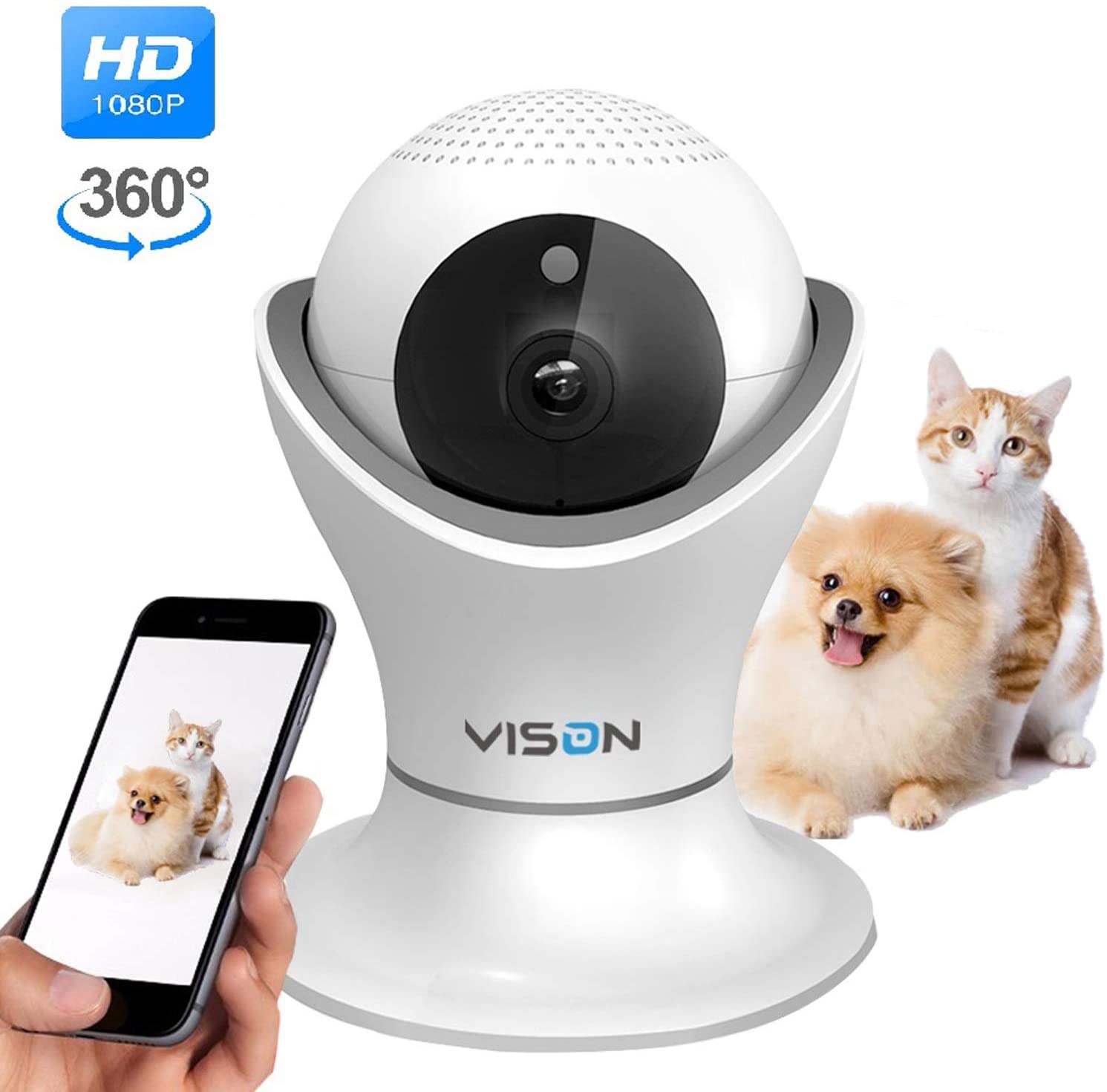 TOP 6 Cat Cameras With Interactive Features In 2024 [20 CAMERAS TESTED]