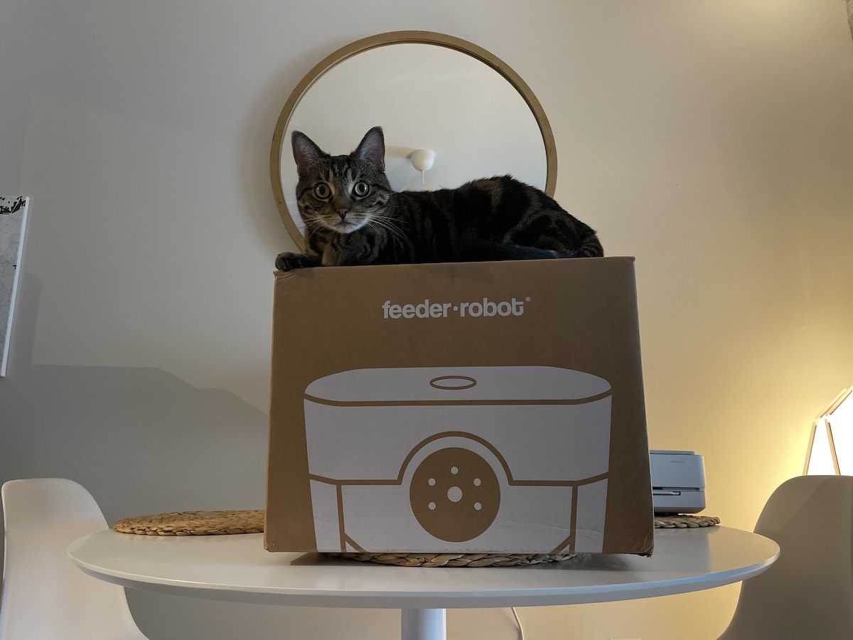 FeederRobot Review Is it Worth Your 299? TechnoMEOW