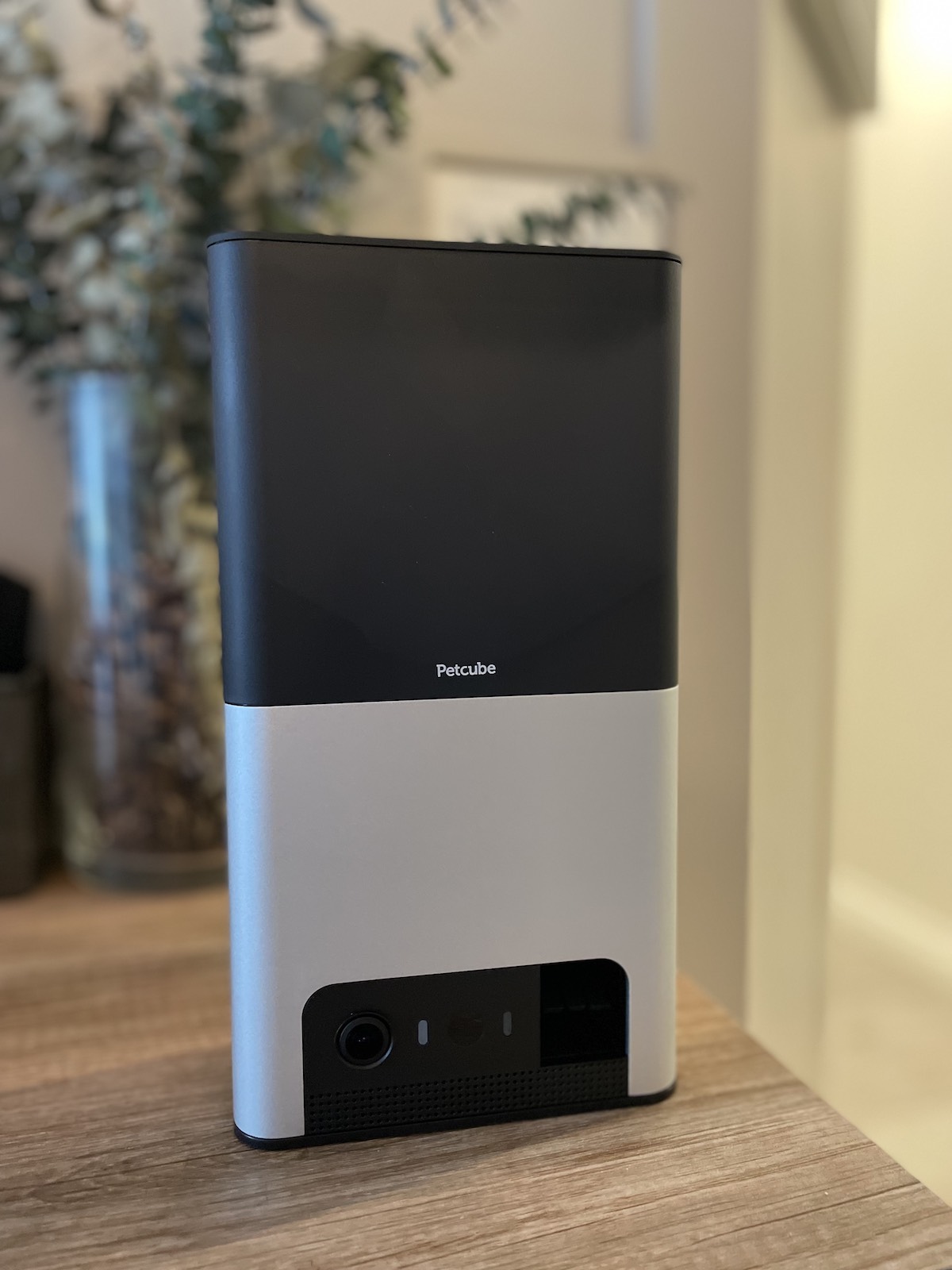 Petcube Bites 2 Camera Review Does It Work For Cats? TechnoMEOW