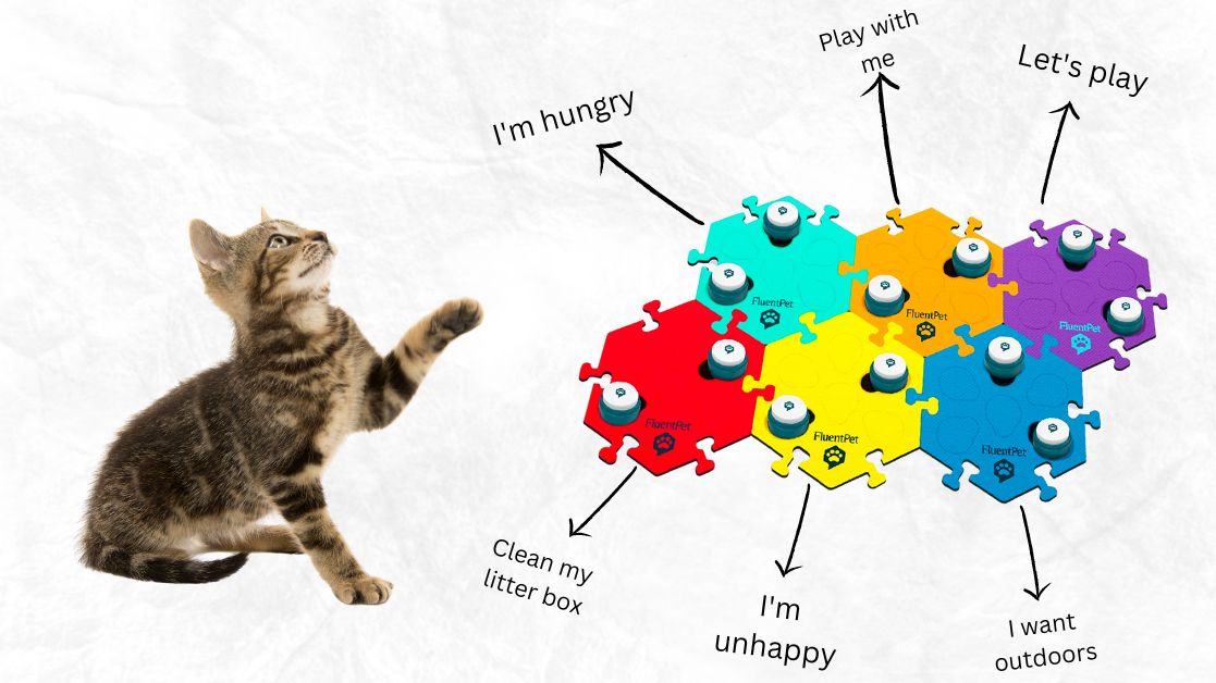 Top 5 Cat Talking Buttons in 2023 THAT REALLY WORK