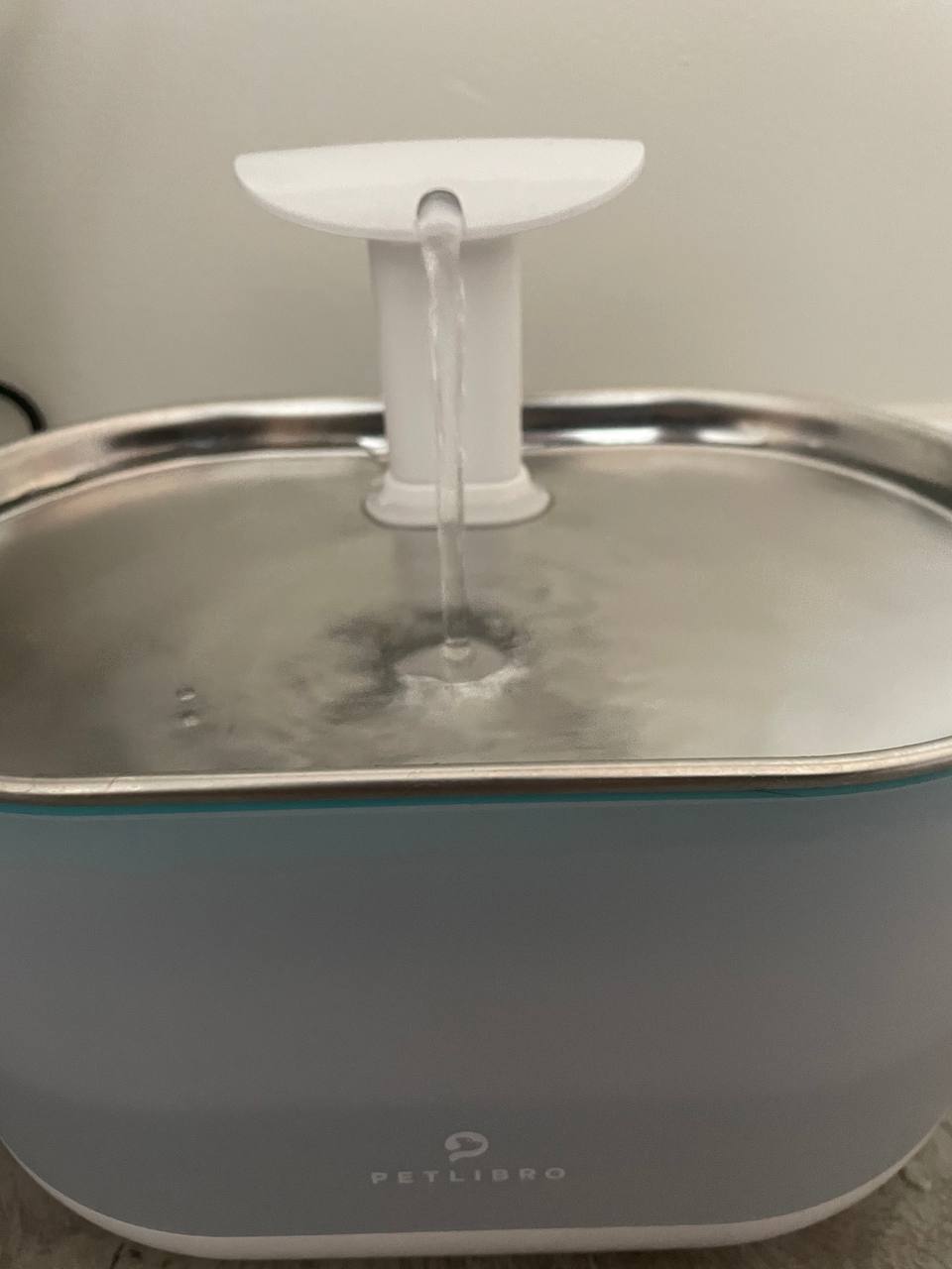 Petlibro Cat Water Fountain Review: My Cat's Favorite Water Dispenser