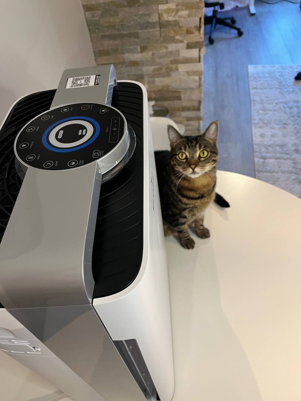 10 Best Air Purifiers For Cat Allergens