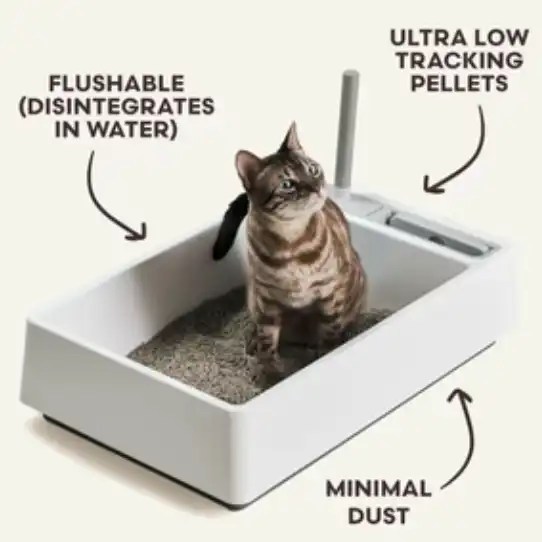 Tuft + Paw Cat Litter Review Is It A Really Great Cat Litter? TechnoMEOW