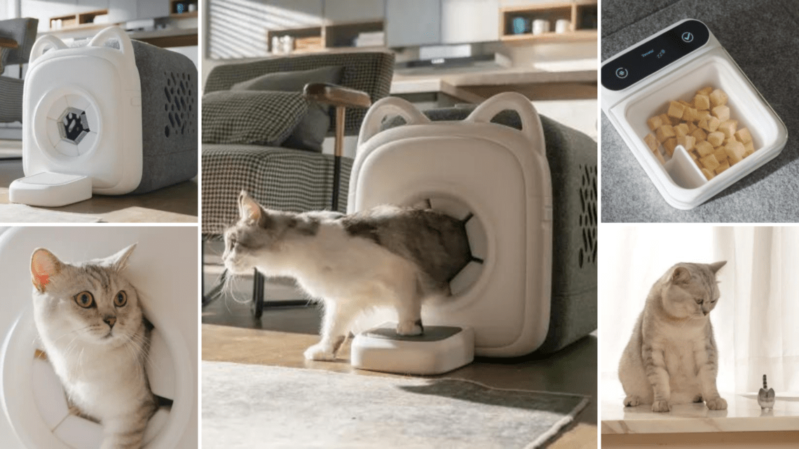 PawSwing Automatic Cat Groomer Revolutionizing Cat Grooming TechnoMEOW