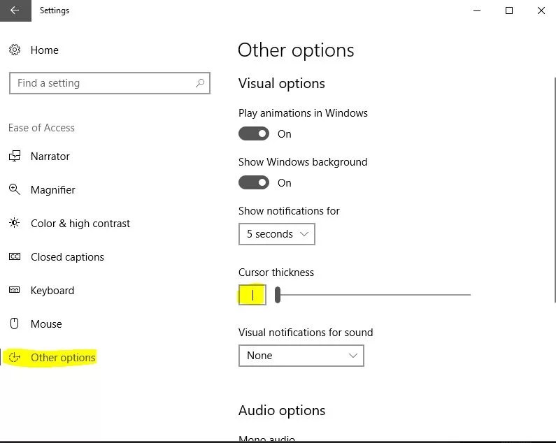 How to reduce the size of Blinking Cursor Thickness? Technoresult