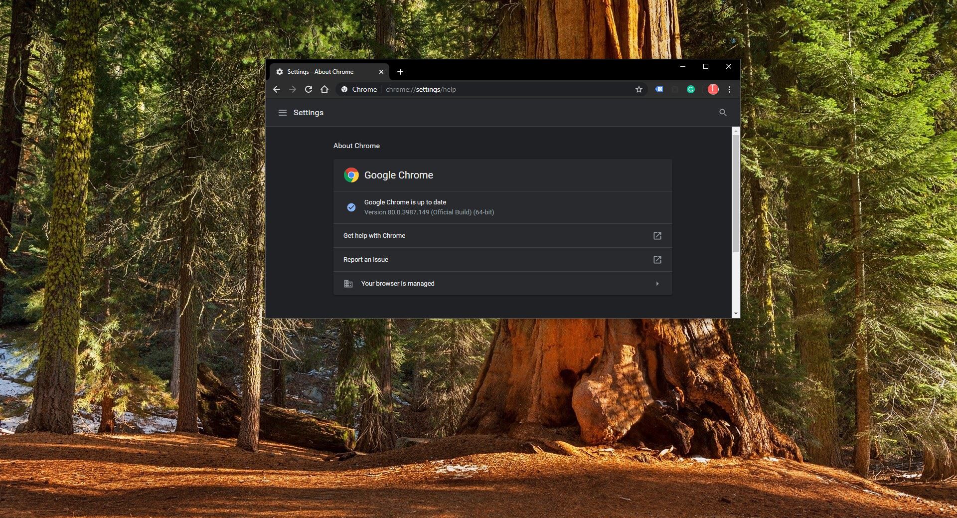How to Fix Google Chrome is Closing automatically in windows 10