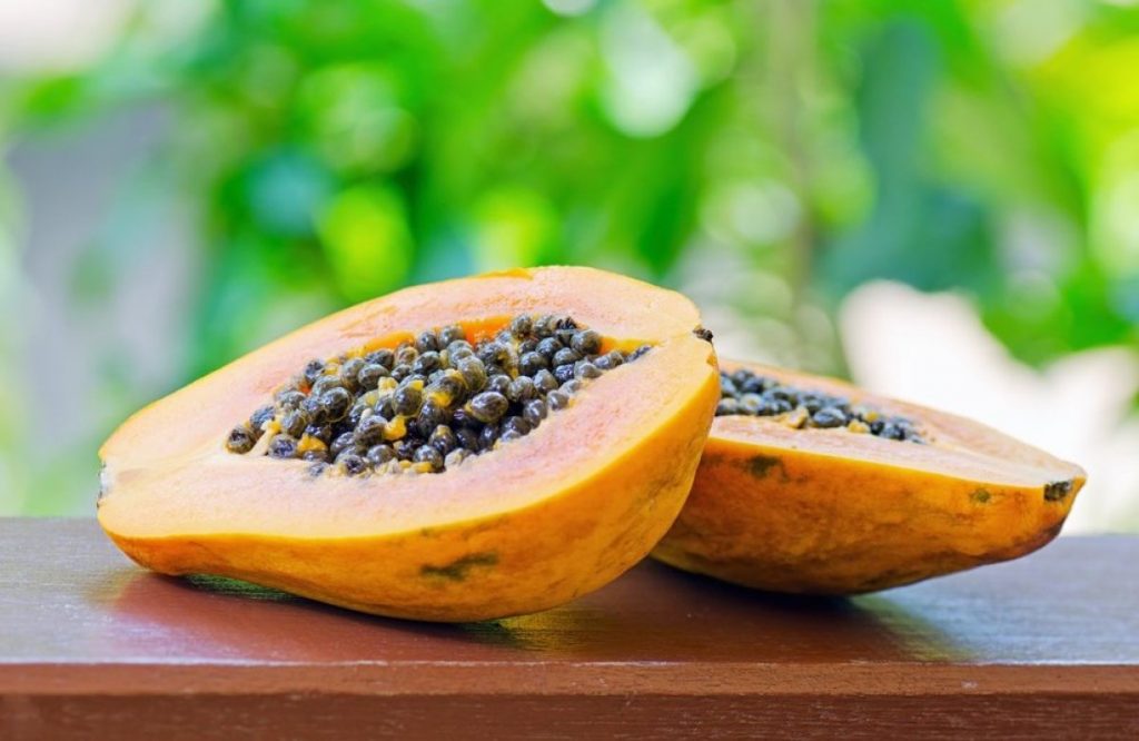 Papayas Infected With Salmonella Were Found In The United States