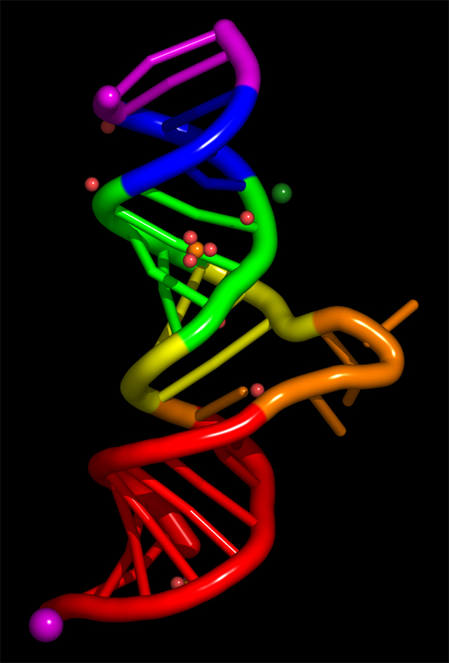 clean proteins, RNA, and DNA