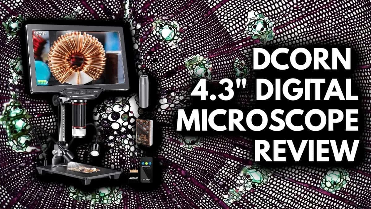 10 Inch DCORN Digital Microscope Review 2024
