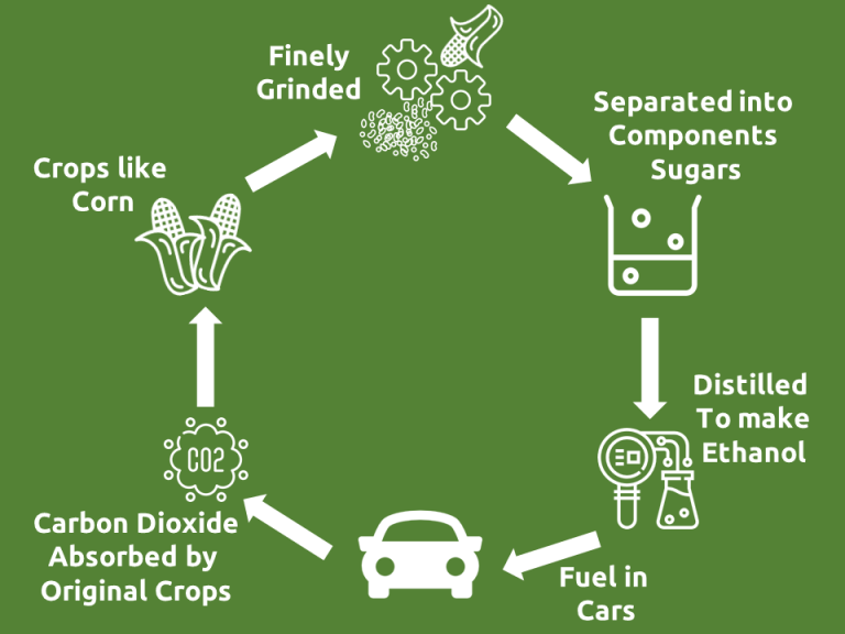 Bioethanol The Fuel of Tomorrow