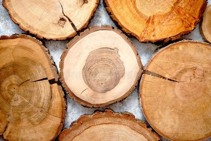 clasificar la calidad de la madera? Techos y Pérgolas en Quéretaro