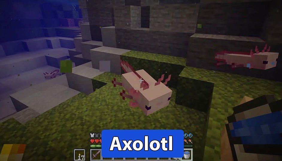 Download Minecraft 2021 [Last Version] apk free TechPanga