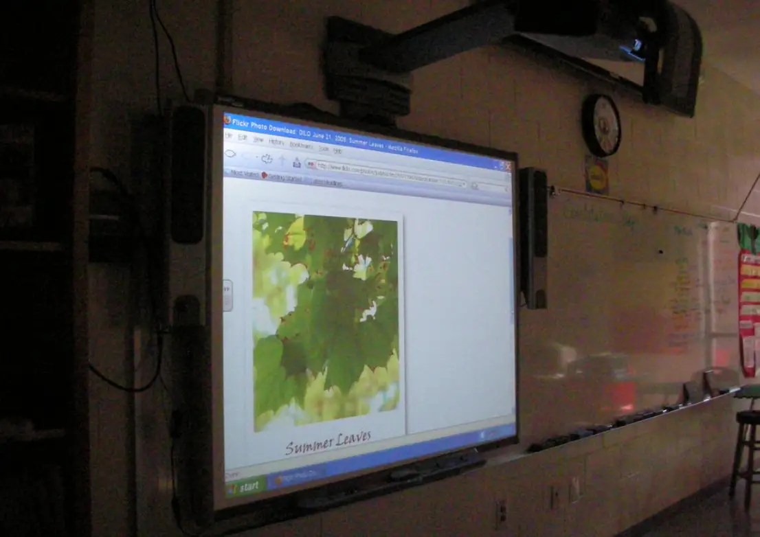 What Is Projector Screen Gain? Here's What Experts Say