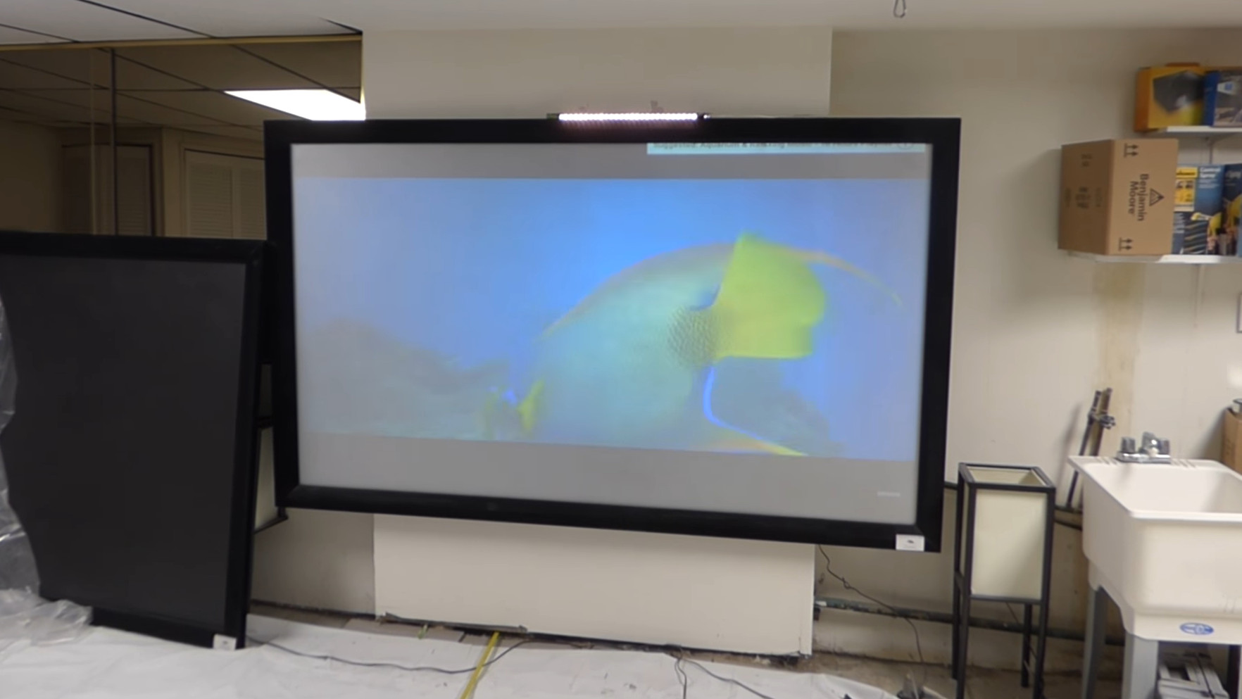 What Is Projector Screen Gain? Here's What Experts Say