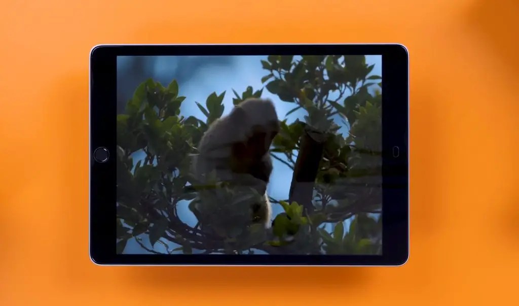 Does the iPad have a USB Port? Detailed explanation