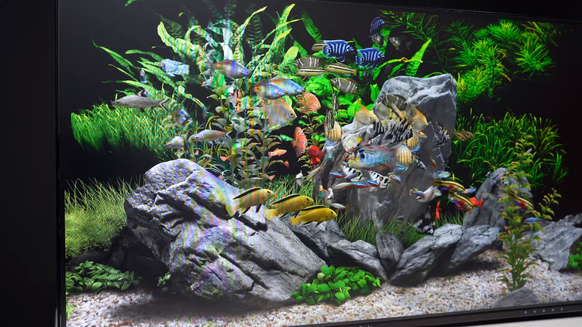 1600x900 vs. 1920x1080 Which is Better? TechPicko