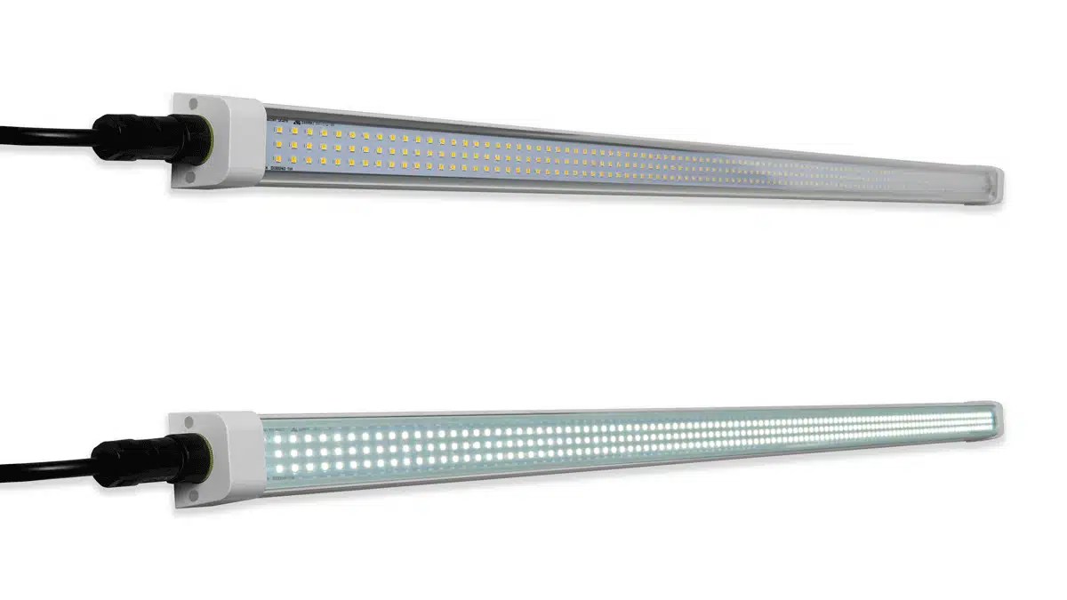 6500K Grow Light Best Grow Lights for Indoor Plants & Herbs