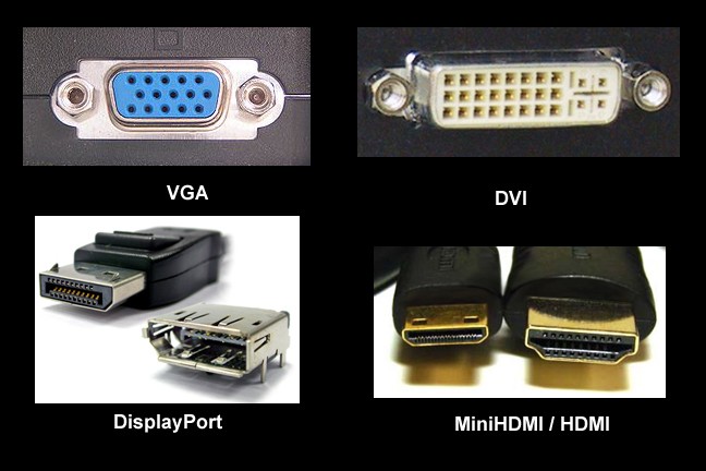 Which PC Monitor Should You Buy? TechPP