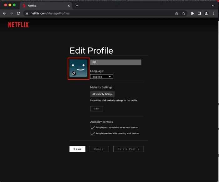 How to Set a Custom Profile Picture for Netflix TechPP
