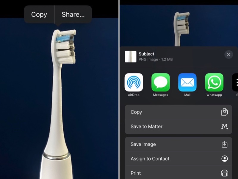 How to Remove the Background from a Photo on iPhone [iOS 16] TechPP