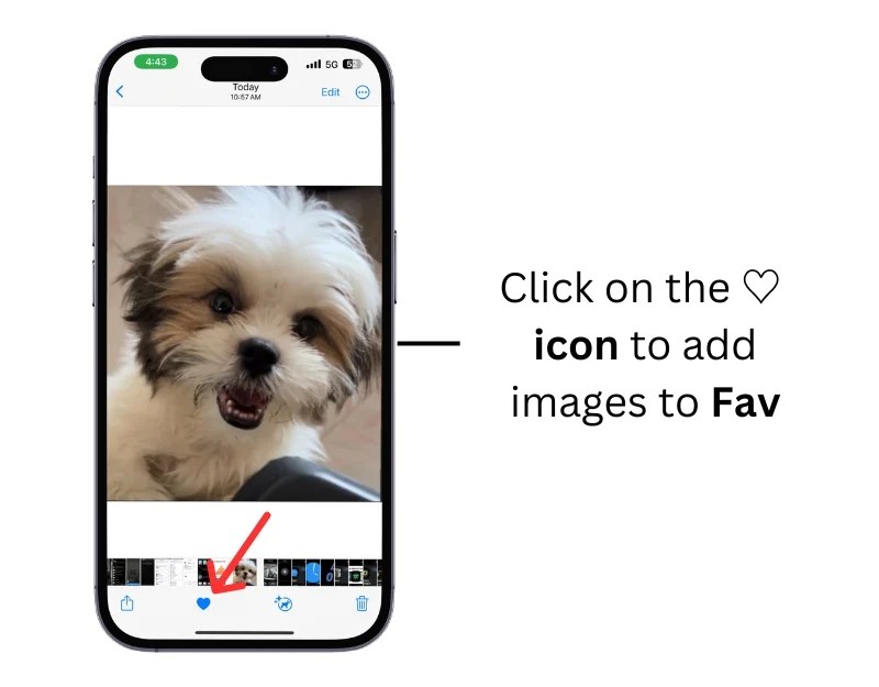 How to Change the Wallpaper on Your Apple Watch A StepbyStep Guide
