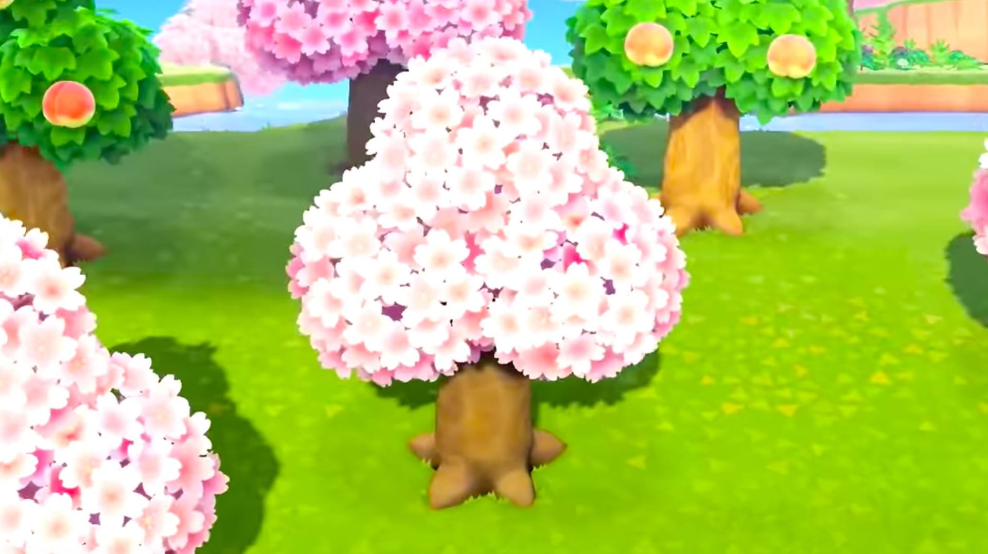 Best Cherry Blossom Views in Video Games TechRaptor