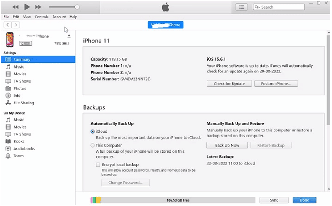 iPhone 14/13/12 Black Screen? Here's The Fix! TechRechard