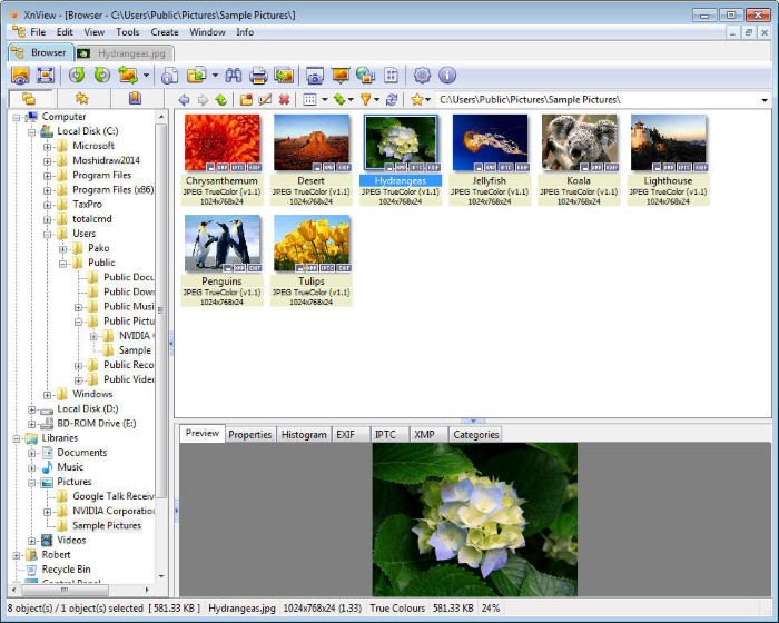 6 Best Photo Organizing Tools and Alternatives for Picasa