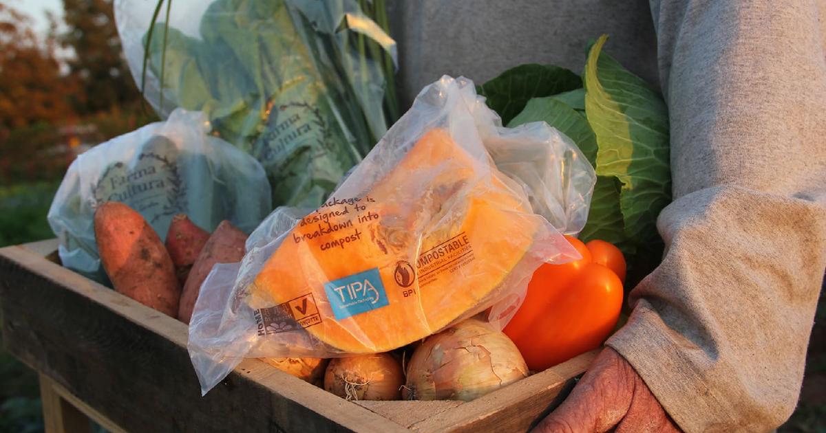 Plastic Alternatives Five Businesses Shaking Up Packaging TechRound