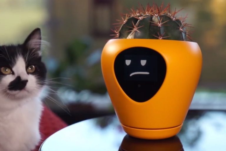 Smarter Blumentopf Lua zeigt dir an, wie es deinen Pflanzen geht