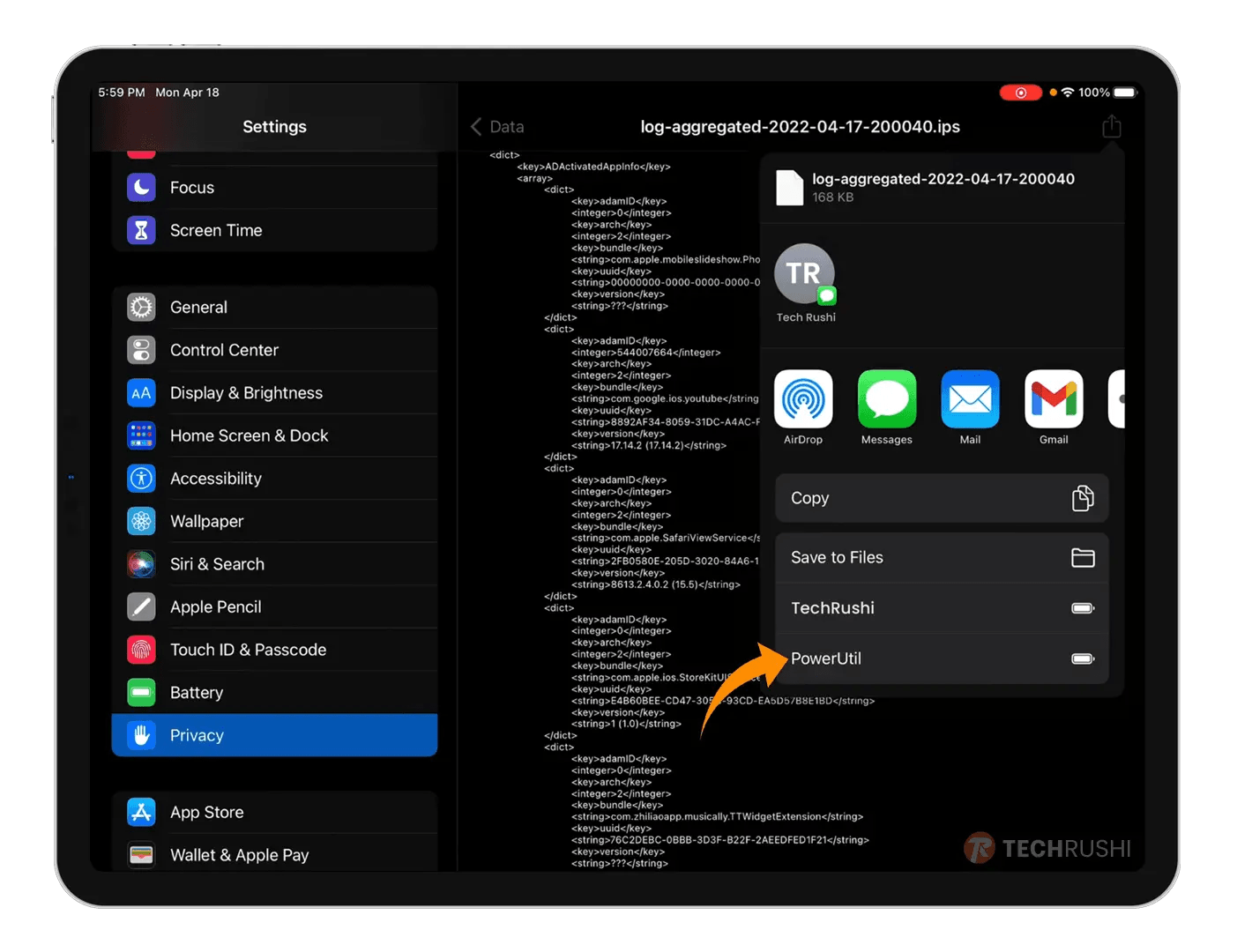 How to Check iPad Battery Health Without a Computer TechRushi