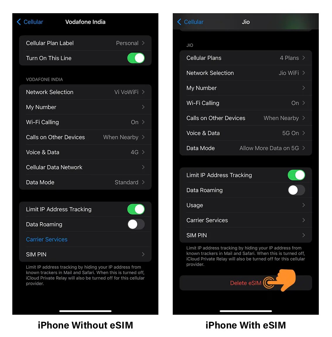 How to Check if eSIM is Activated on iPhone TechRushi