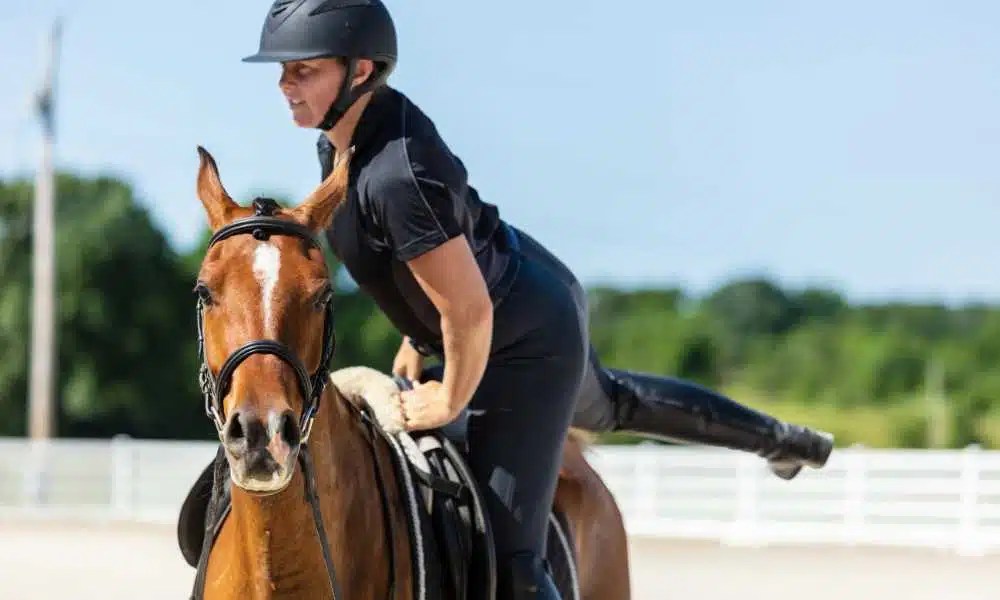 How Horse Trainers Use Modern Technology To Enhance Performance TechSAA