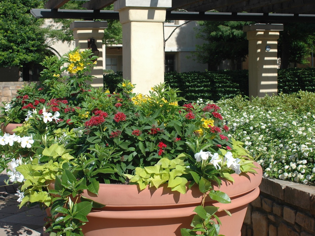 Senior Living Techscape