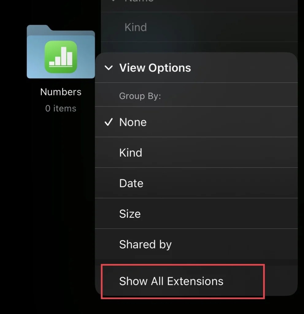 Two Methods To See File Extensions On iPhone And iPad (iOS 16) Techschumz