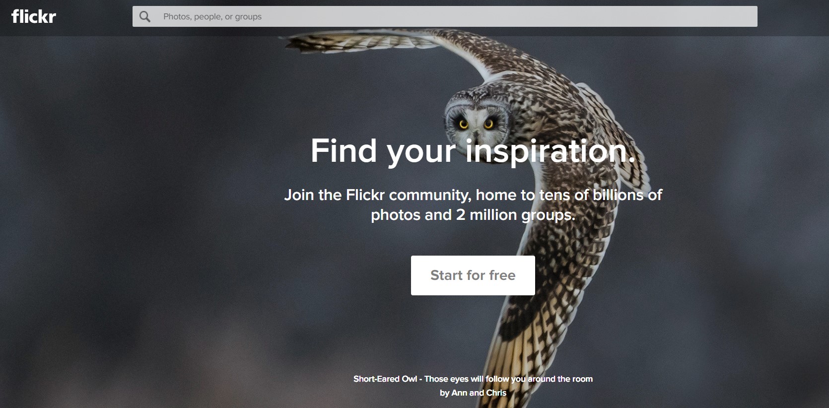 Flickr Alternatives 10 Image Sharing Sites Like Flickr TechSoFar