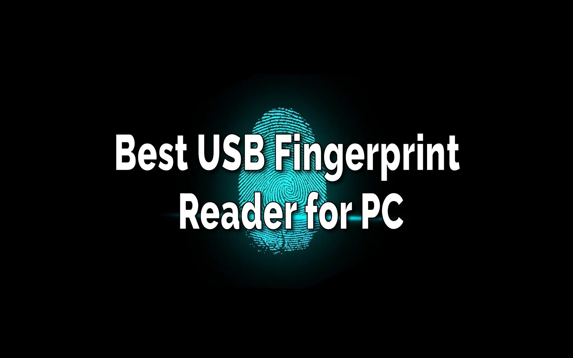 Best USB Fingerprint Readers for PC in 2023 TechSphinx