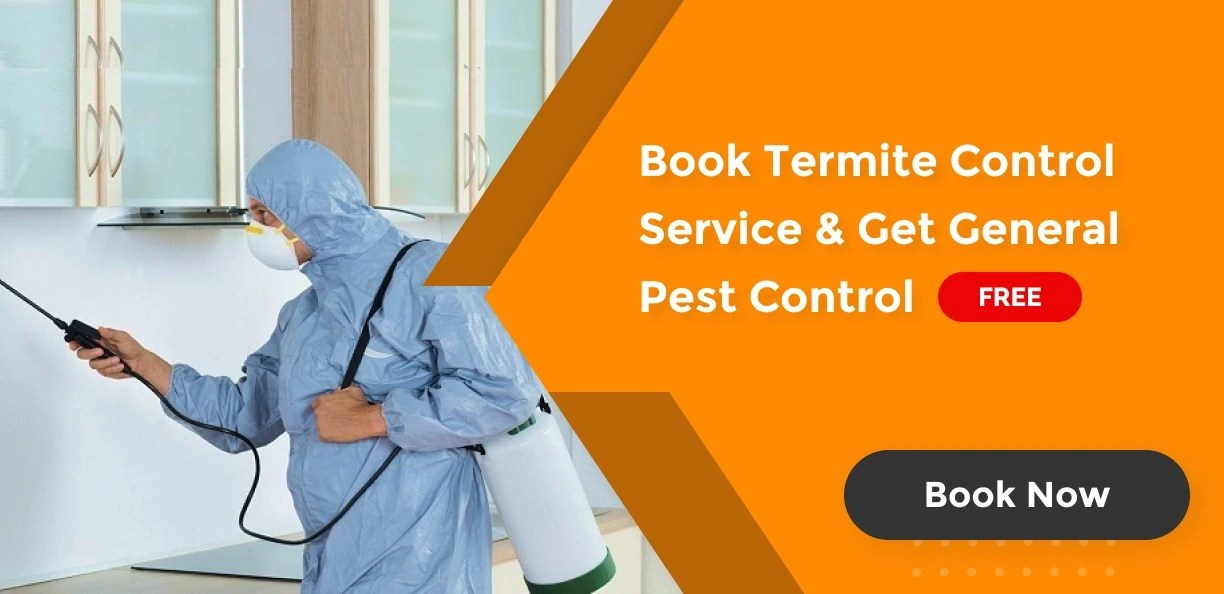 Deep Home Cleaning Services in Bangalore Best House Cleaning Services