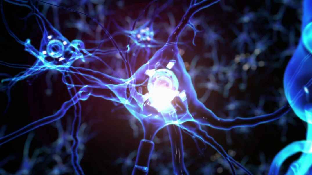 Bayer acquires biotech startup BlueRock Therapeutics for 1 billion to