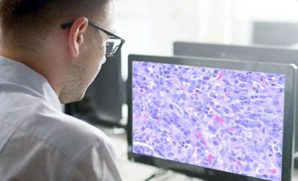 Salt Lake City tech startup PathologyWatch raises 25M to advance AI