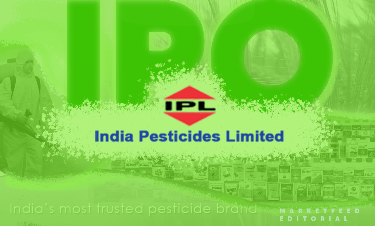 How to check IPO allotment status TechStory